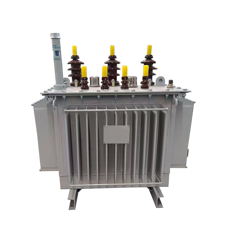 Oil-immersed transformer